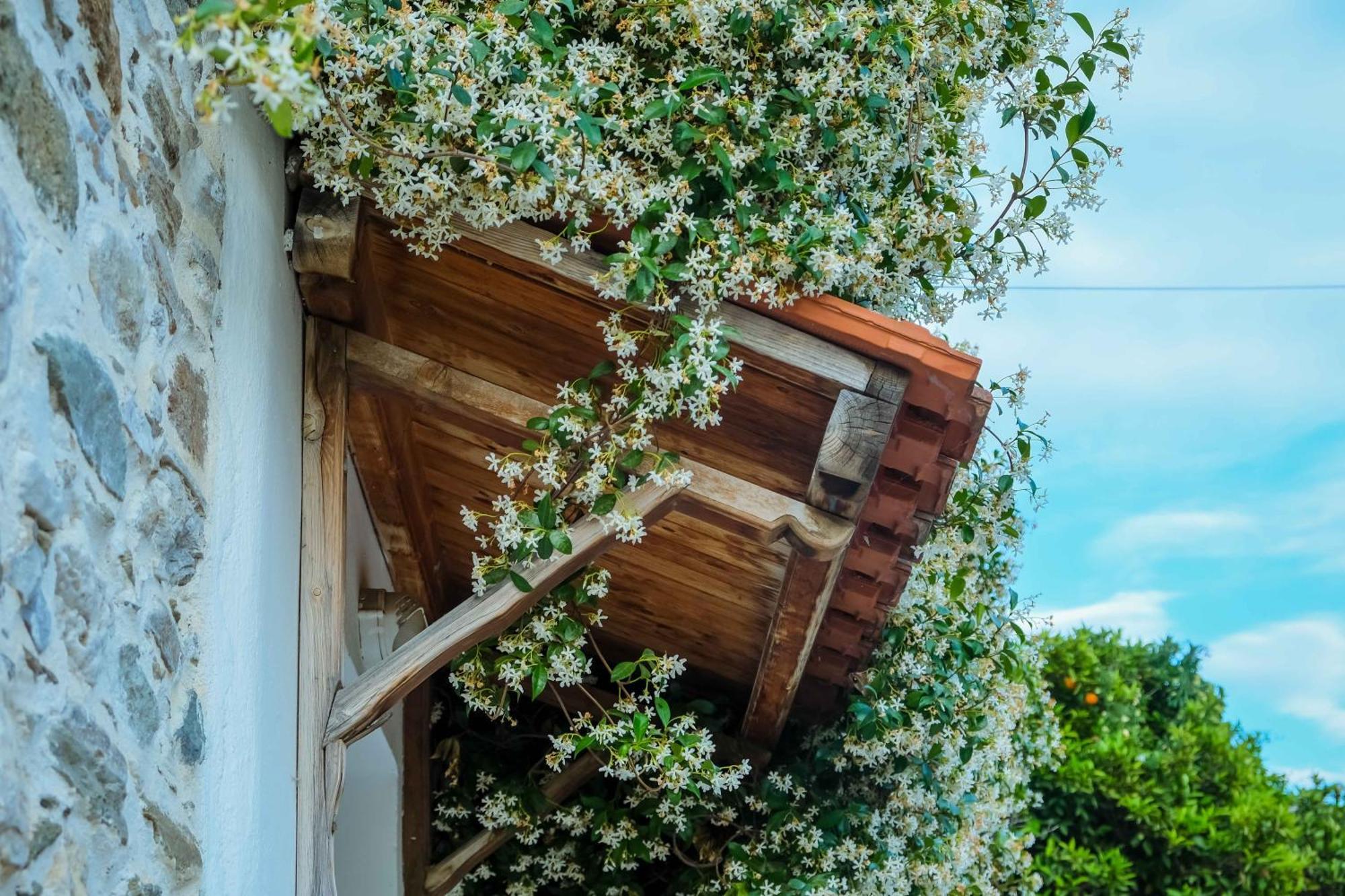 דירות Káto Lekhónia Cozy House In Pelion מראה חיצוני תמונה